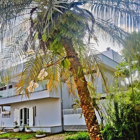 Bed and Breakfast Casa Mani Ubatuba Exterior foto
